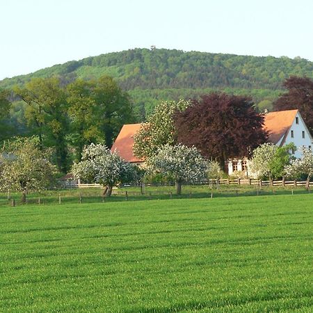 Ferienwohnung An Der Obstwiese Borgholzhausen Exteriör bild
