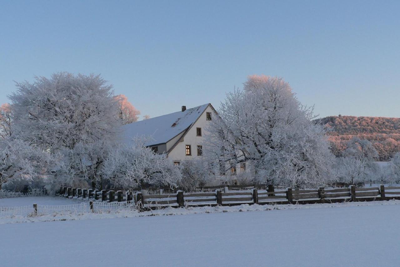 Ferienwohnung An Der Obstwiese Borgholzhausen Exteriör bild